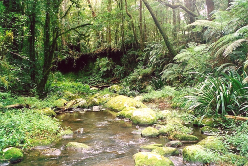 Border Ranges National Park